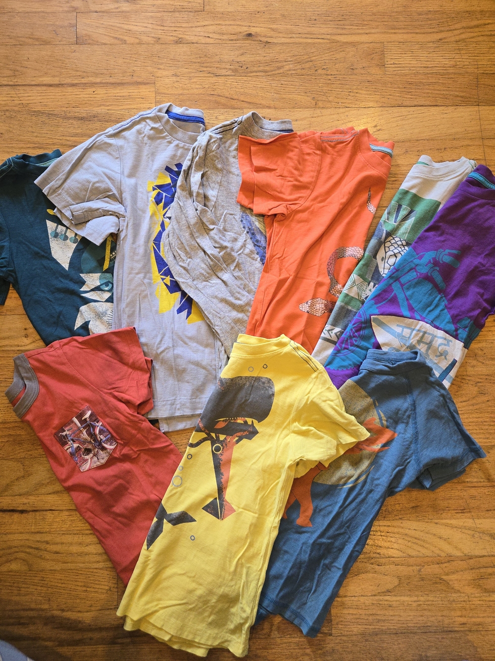 Tea Collection Shirt Bundle Size 6/7